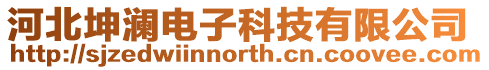 河北坤瀾電子科技有限公司
