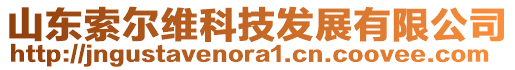 山東索爾維科技發(fā)展有限公司