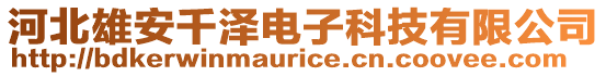 河北雄安千澤電子科技有限公司