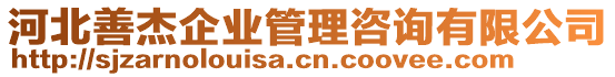 河北善杰企業(yè)管理咨詢有限公司