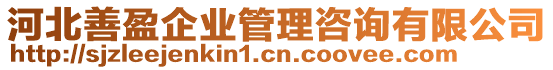 河北善盈企業(yè)管理咨詢有限公司