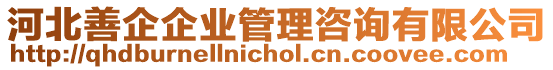 河北善企企業(yè)管理咨詢有限公司