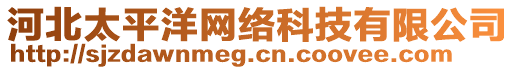 河北太平洋網(wǎng)絡(luò)科技有限公司