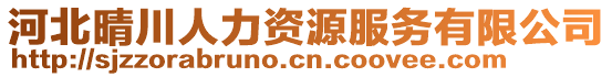 河北晴川人力資源服務有限公司