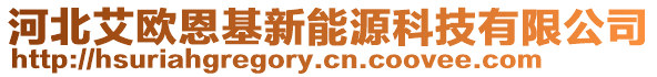 河北艾歐恩基新能源科技有限公司