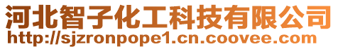 河北智子化工科技有限公司