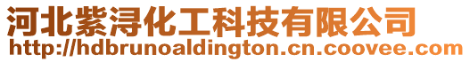 河北紫潯化工科技有限公司