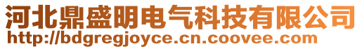 河北鼎盛明電氣科技有限公司