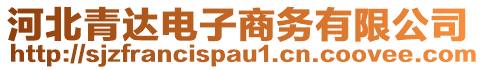 河北青達電子商務(wù)有限公司