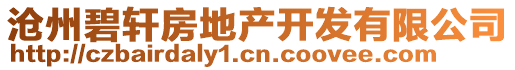 滄州碧軒房地產(chǎn)開發(fā)有限公司