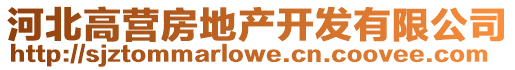 河北高營(yíng)房地產(chǎn)開(kāi)發(fā)有限公司