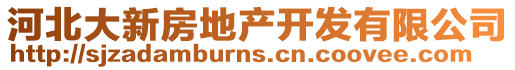 河北大新房地產(chǎn)開發(fā)有限公司