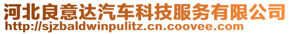 河北良意達汽車科技服務(wù)有限公司