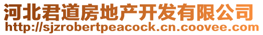 河北君道房地產(chǎn)開發(fā)有限公司