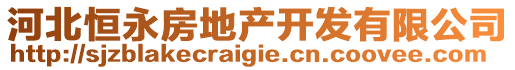 河北恒永房地產(chǎn)開(kāi)發(fā)有限公司