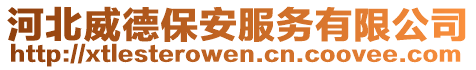 河北威德保安服務(wù)有限公司