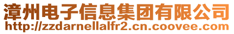 漳州電子信息集團(tuán)有限公司