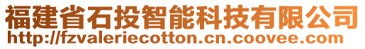 福建省石投智能科技有限公司