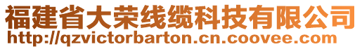 福建省大榮線纜科技有限公司