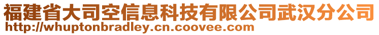 福建省大司空信息科技有限公司武漢分公司