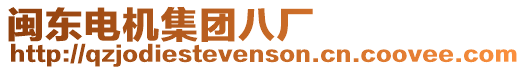 閩東電機(jī)集團(tuán)八廠