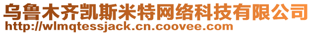 烏魯木齊凱斯米特網(wǎng)絡(luò)科技有限公司