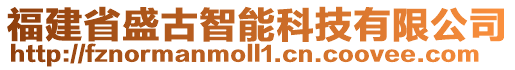 福建省盛古智能科技有限公司