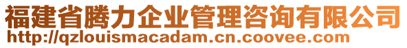 福建省騰力企業(yè)管理咨詢有限公司