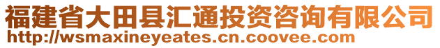 福建省大田縣匯通投資咨詢(xún)有限公司