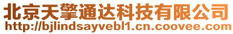 北京天擎通達(dá)科技有限公司