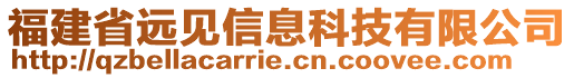 福建省遠(yuǎn)見信息科技有限公司