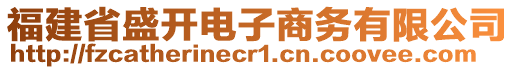 福建省盛開電子商務(wù)有限公司