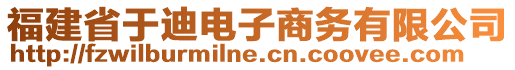 福建省于迪電子商務(wù)有限公司