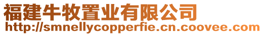 福建牛牧置業有限公司