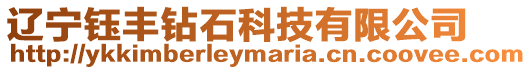 遼寧鈺豐鉆石科技有限公司