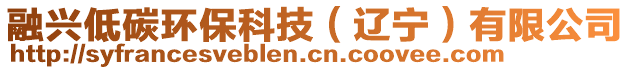 融興低碳環(huán)?？萍迹ㄟ|寧）有限公司