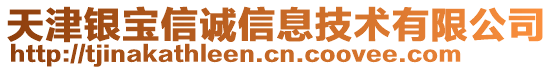 天津銀寶信誠信息技術(shù)有限公司