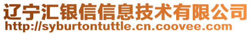 遼寧匯銀信信息技術(shù)有限公司