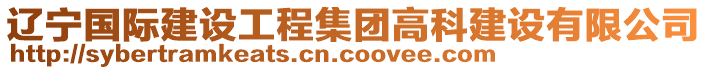 遼寧國際建設(shè)工程集團高科建設(shè)有限公司