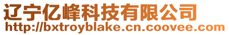 遼寧億峰科技有限公司