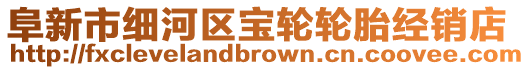 阜新市細河區寶輪輪胎經銷店