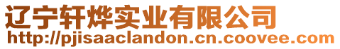 遼寧軒燁實業(yè)有限公司