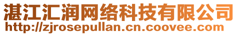 湛江匯潤(rùn)網(wǎng)絡(luò)科技有限公司