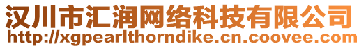 漢川市匯潤網絡科技有限公司