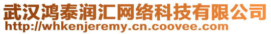 武漢鴻泰潤匯網(wǎng)絡(luò)科技有限公司