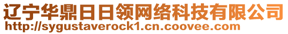 遼寧華鼎日日領網絡科技有限公司