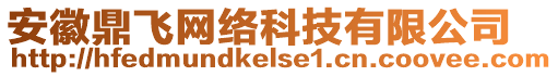 安徽鼎飛網(wǎng)絡(luò)科技有限公司