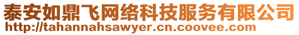 泰安如鼎飛網(wǎng)絡科技服務有限公司