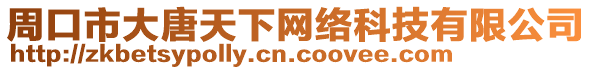 周口市大唐天下網(wǎng)絡科技有限公司