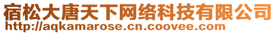 宿松大唐天下網(wǎng)絡科技有限公司